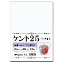 【代金不可！期間限定ポイントUP】【 限定】長門屋商店 高級ケント紙 〈ケント25〉 スケッチ・イラスト 漫画・コミック用紙 110kg A4 ホワイト 1