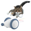 【期間限定ポイントUP】【猫ちゃんのイタズラ友だち】 猫 おもちゃ ねずみ 自動 ウィキッド・マウス (Jay Blue)
