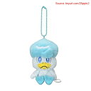 【期間限定ポイントUP】ポケモンセンターオリジナル マスコット クワッス