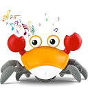 音楽這うカニ