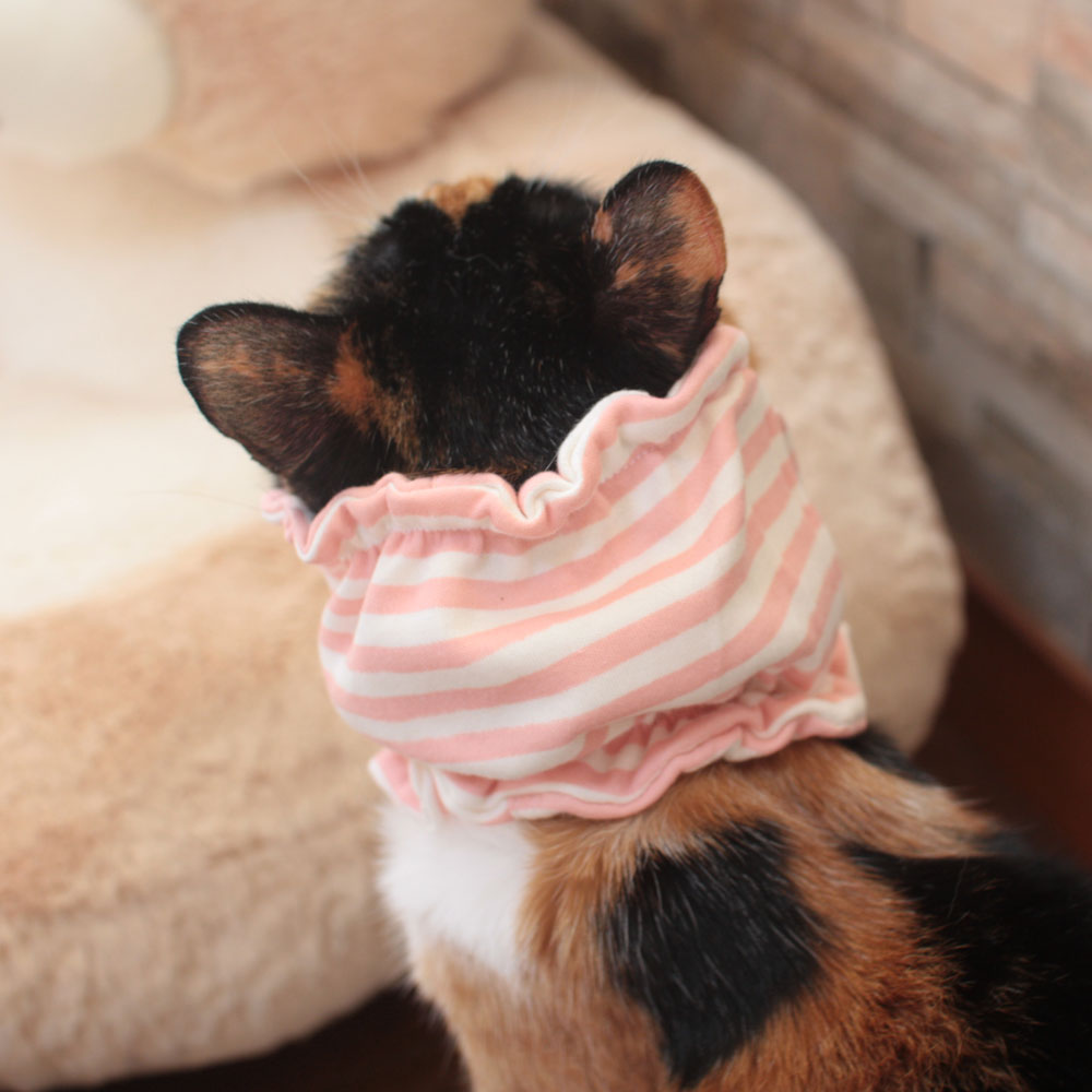 【土日祝日発送】猫専用 食道チューブカバー【食...の紹介画像3