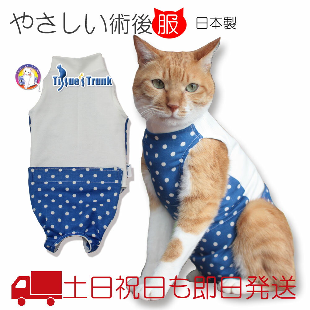 術後服 猫用 みんな探してる人気モノ 術後服 猫用 ペット ペットグッズ