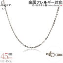 ＼5/1限定 11 OFFクーポン ／ 純チタン ネックレス チェーン 45cm アズキ 小豆 2mm幅 A45F( チタン チェーンネックレス レディース メンズ 錆びない アジャスター シンプル ユニセックス 男女兼用 ニッケルフリー 41cm 42cm 43cm 44cm スポーツ 肩こり )