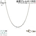 楽天チタンアクセサリー　レジエ【 金属アレルギー対応 】 純チタン ネックレス チェーン 55cm 小判 2.0mm幅 AO55F（ チタン チェーンネックレス メンズ レディース アジャスター 錆びない つけっぱなし シンプル ユニセックス 男女兼用 ニッケルフリー 51cm 52cm 53cm 54cm スポーツ 肩こり ）