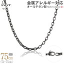 \ 最大1000円OFFクーポン / 純チタン ネックレス チェーン IP グレー 75cm オーバル 4.0mm幅 ( チタン チェーンネックレス メンズ レ...