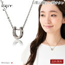 【 金属アレルギー対応 】 純チタン ネックレス ホースシュー 40cm ( チタン 馬蹄 馬てい 蹄 ひづめ 馬 チェーン ニッケルフリー ノンアレルギー ギ...