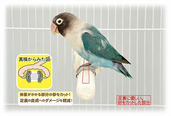 SANKO爪とぎパーチストレート止まり木(小鳥/フクロモモンガなど)《送料無料》【三晃商会SANKO】