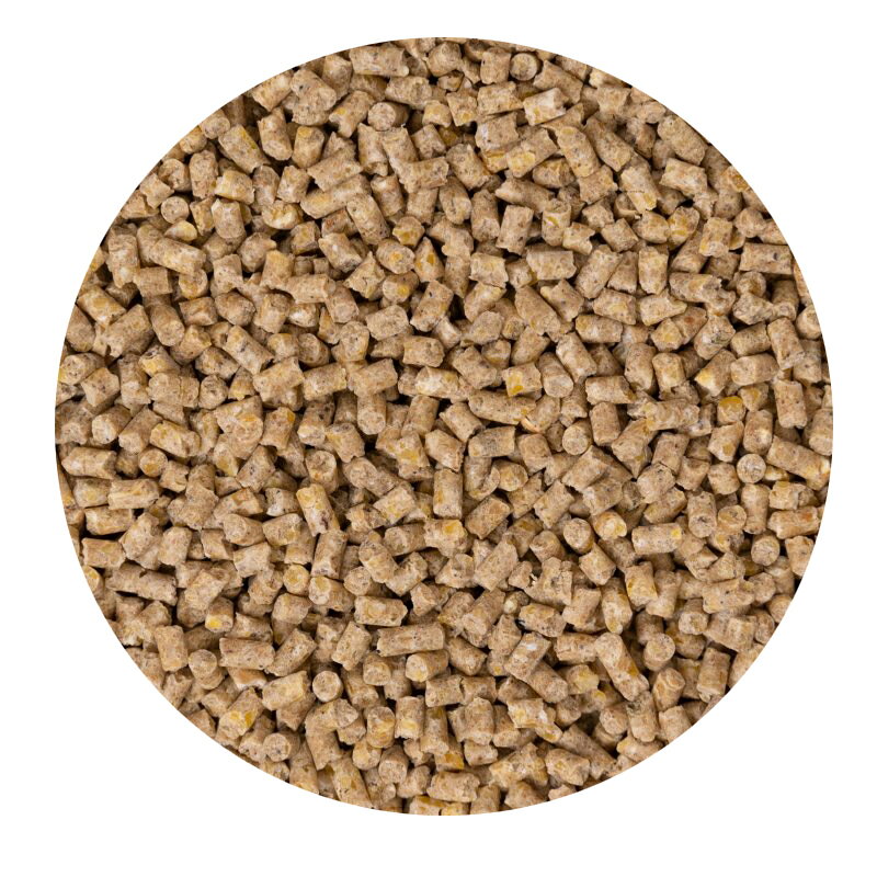 黒瀬ペットフード NEO 小粒タイプ (300g) 鳥用バードフード ペレット 国産 《送料無料》 【黒瀬ペットフード】 titibuya-10000128 TITIBUYA サンプル画像2