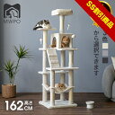 【SS割引商品】＼楽天1位！／【着後レビューで選べるプレゼント！】MWPO キャットタワー 162cm スリム おしゃれ スロープ 送料無料 爪とぎ おもちゃ 室内 据え置き 人気 ハンモック 運動不足 安定 かわいい 多頭飼い mwpo-130