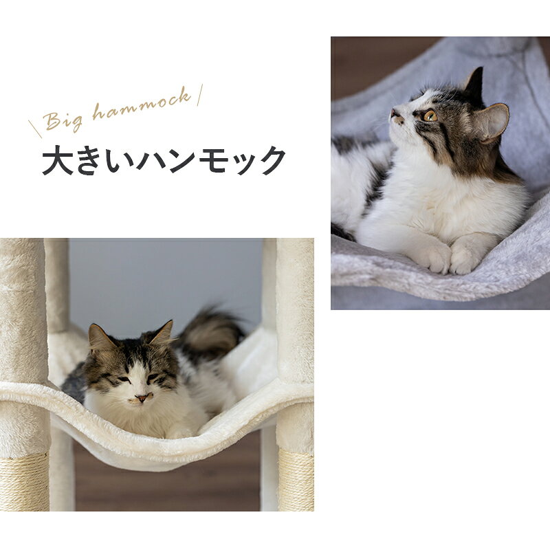 サンプル画像2
