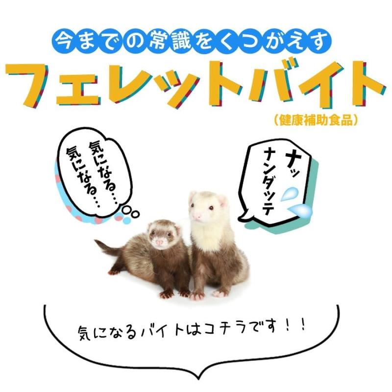 フェレット ヘルスチャージ-F フェレット用健康補助食品バイト（3g×30本入り）国産無添加 titivate520-10134556 cocoluna31 サンプル画像2