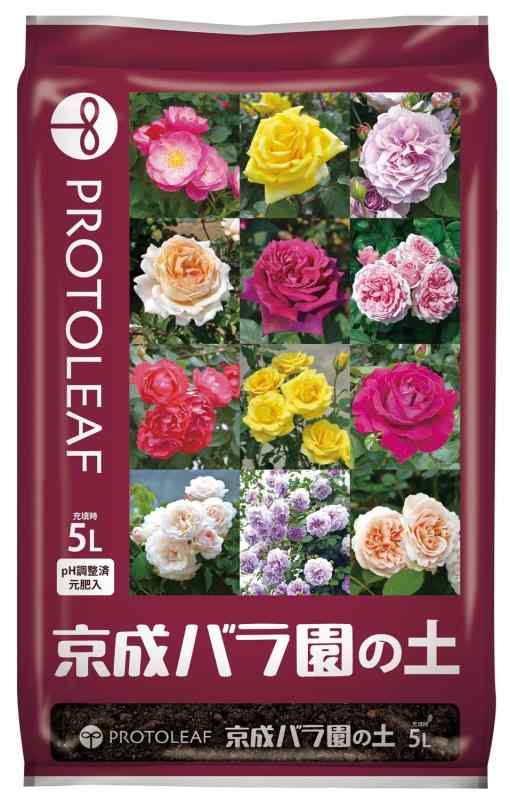 樂天商城 - プロトリーフ 京成バラ園の土