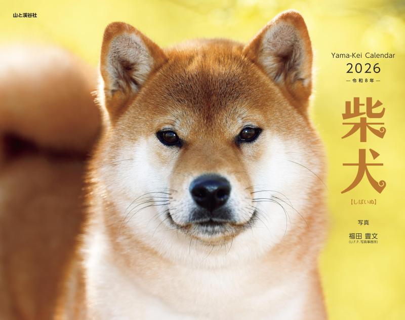 カレンダー2026 柴犬（月めくり/壁掛け/いぬ） (ヤマケイカレンダー2026)