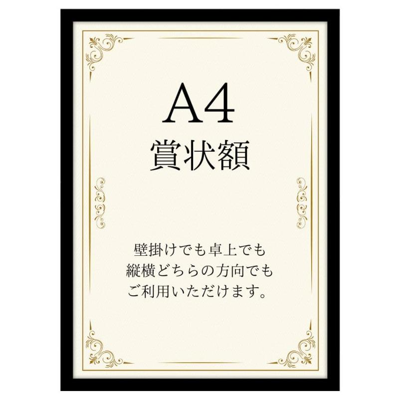 Amerflat Picte Frame LX Certification - Parent