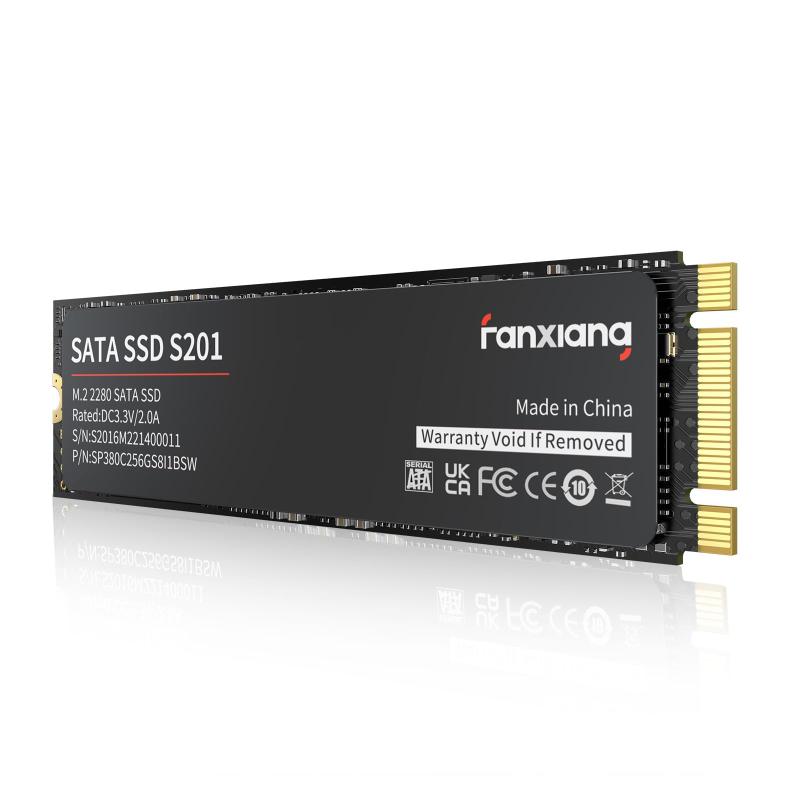 S201 M.2 SATA D 2280 6Gb/秒
