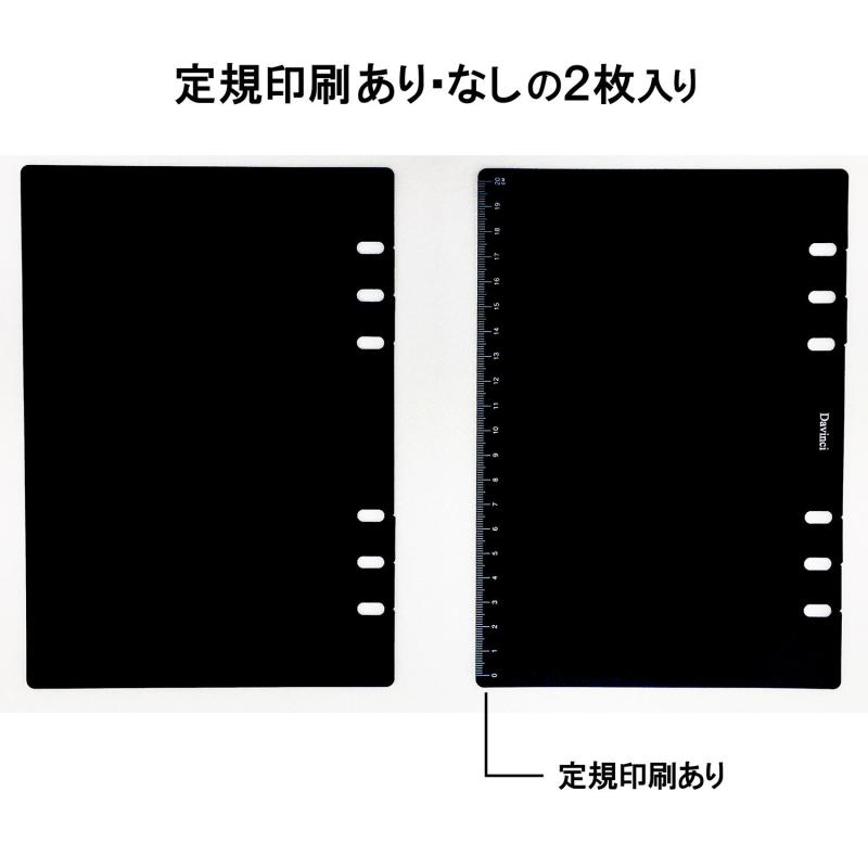 レイメイ藤井 ダヴィンチ 手帳 リフィル ガイドプロテクター & スケール A5 DA...