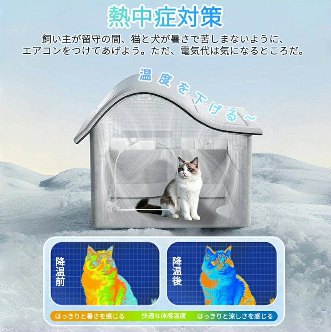 �ڥå� �ڥåȥϥ��� ��������롼�� �� ��ǭ���� ������դ� �� �Ҥ��� �䴶 �ڥåȥ٥å� ���� ���� ����˼ ������ �٥å� ǭ ���٥å� ��Ǽ�ܥå��� �뤵�к� Ǯ��� ���� ������ �澮������ ���� �ڥå����� �ڥå� �ڥåȥϥ��� ��˼