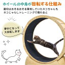 キャットホイール 猫 ランニングホイール ペットホイール ストッパ一付き 自走式 運動不足解消 ダイエット 低騒音 怪我防止 小型犬 ネコ