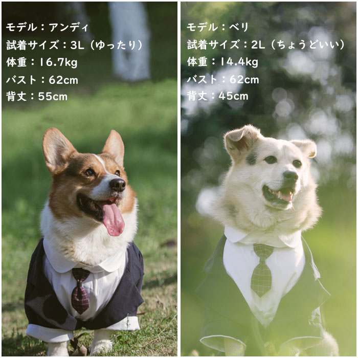 exitのドッグ 服 犬 タキシード ペットスーツ 大型犬 中型犬 小型犬 ペット スーツ 犬服 正装 結婚式 ネクタイ付き フォーマル ハーネス おめかし バースデー お誕生日 パーティー お出かけ｜アングル3