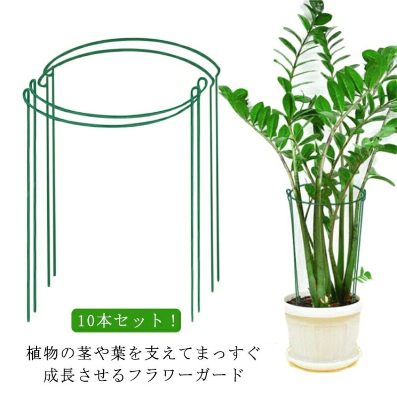 10本セット!植物の茎や葉を支えてまっすぐ成長させるフラワーガード植物同士が絡み合ったり、曲がって成長してしまうのを防いでくれる、園芸マストアイテムです。土に直接差し込むだけで簡単に設置できるので、女性や高齢者の方でも扱いやすくなっています。サイズ20x35cm 25x40cm 30x50cmサイズについての説明※サイズ表の実寸法は商品によって1-3cm程度の誤差がある場合がございます。素材アイアン色10本セット備考サイズ詳細等の測り方はスタッフ間で統一、徹底はしておりますが、実寸は商品によって若干の誤差(1cm〜3cm )がある場合がございますので、予めご了承ください。製造ロットにより、細部形状の違いや、同色でも色味に多少の誤差が生じます。パッケージは改良のため予告なく仕様を変更する場合があります。▼商品の色は、撮影時の光や、お客様のモニターの色具合などにより、実際の商品と異なる場合がございます。あらかじめ、ご了承ください。▼生地の特性上、やや匂いが強く感じられるものもございます。数日のご使用や陰干しなどで気になる匂いはほとんど感じられなくなります。▼同じ商品でも生産時期により形やサイズ、カラーに多少の誤差が生じる場合もございます。▼他店舗でも在庫を共有して販売をしている為、受注後欠品となる場合もございます。予め、ご了承お願い申し上げます。▼出荷前に全て検品を行っておりますが、万が一商品に不具合があった場合は、お問い合わせフォームまたはメールよりご連絡頂けます様お願い申し上げます。速やかに対応致しますのでご安心ください。ささえ 植物サポート 家庭菜園 支柱 20x35cm 25x40cm 30x50cm