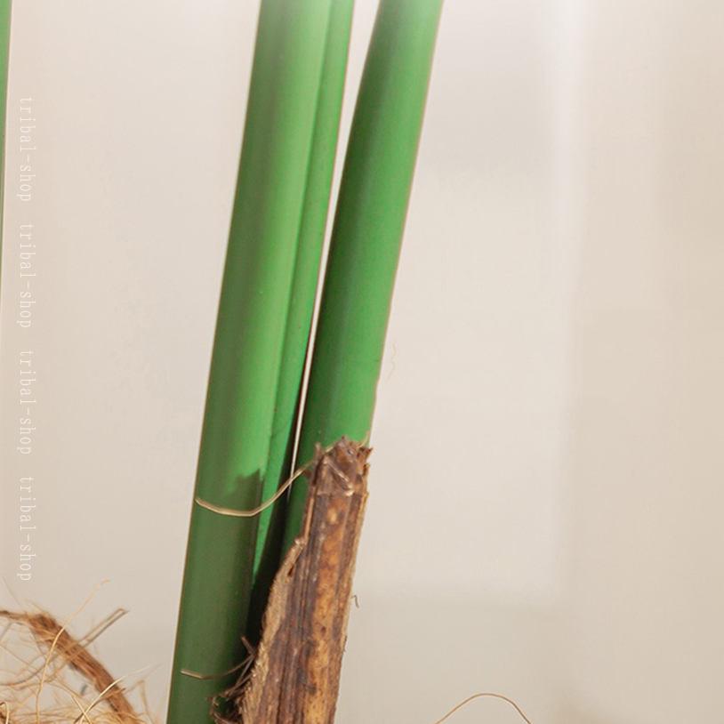 exitのフェイクグリーン おしゃれ インテリアファブリック 人工観葉植物 造花 大型 観葉植物 フェイク リアル 樹 木 鉢植え 人工樹木 室内用 お手入れ不要 害虫駆除不要 インテリア｜アングル2
