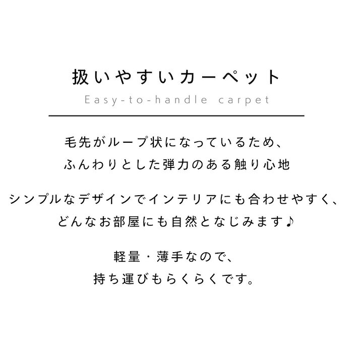 日本製 抗菌防臭 軽量薄手 ジェミニ 江戸間 ...の紹介画像2