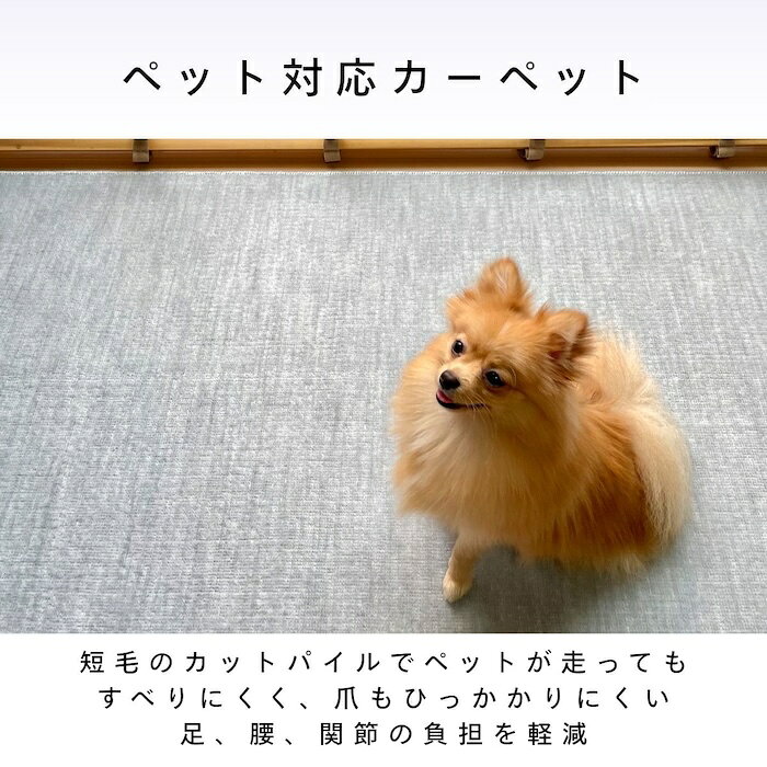 カーペット 6畳 4.5畳 3畳 ペット対応 ビオラ 江戸間 サイズ 薄い 軽量 薄手 ラグ 畳の上 厚 6mm 抗菌防臭 犬 猫 日本製 フリーカット 切れる ハサミ オールシーズン 絨毯 じゅうたん 4畳半 6帖 3帖 六畳 四畳半 三帖 床暖房対応 176 261 352 辻川産業株式会社 Tsujikawa tjktjk-10000054 Tsujikawa楽天市場店 サンプル画像3
