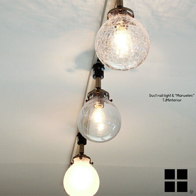 ダクトレールライト ライト ダクトレール用 ライティングレール用 天井 照明 LED対応 ガラス スチール ..