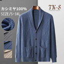 S~3XL カシミヤ セーター カーディガン メンズ Vネック 抗ピリング加工 メンズセーター トップス カシミヤ100% 男性 学生 紳士 ビジネス 無地 厚...