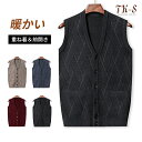 M~4XL ニットベスト メンズ Vネック 秋 冬 ビジネス 仕事 ゴルフウェア 前開き 紳士 ジレ メンズ ビジネスベスト 無地 シングルボタン チョッキ 洗える 通勤 お洒落 アウター 細身 ニットベスト ボタンダウン フォーマル トップス ゴルフ TK-S