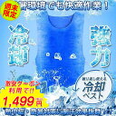 【週末限定クーポンで1,499円】冷却ベスト ゴルフインナー 熱中症対策グッズ 冷感 作業服 熱中症対策グッズ 夏冷感作業服 冷却服 電気保冷剤不要 クーラーベスト水冷 ジレ ベスト 父の日 在宅勤務 プレゼント 誕生日 母の日 夏休み 安全 父の日プレゼント アイスベスト TK-S