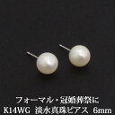 K14WG 淡水 パール ピアス （6mm） 淡