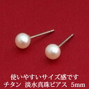 淡水パール ピアス （5mm） 純チタン