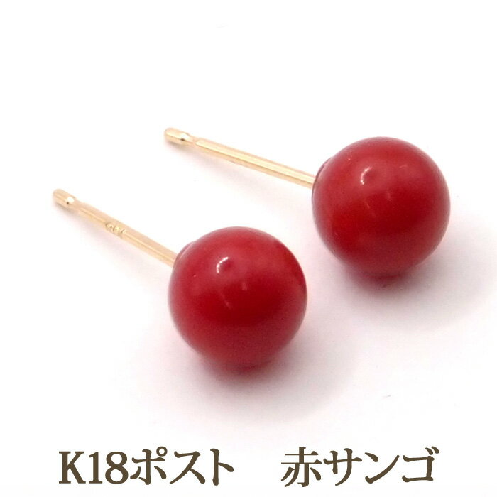 お歳暮・冬ギフト特集2024 imgrc0072744388.jpg コーラル、サンゴ