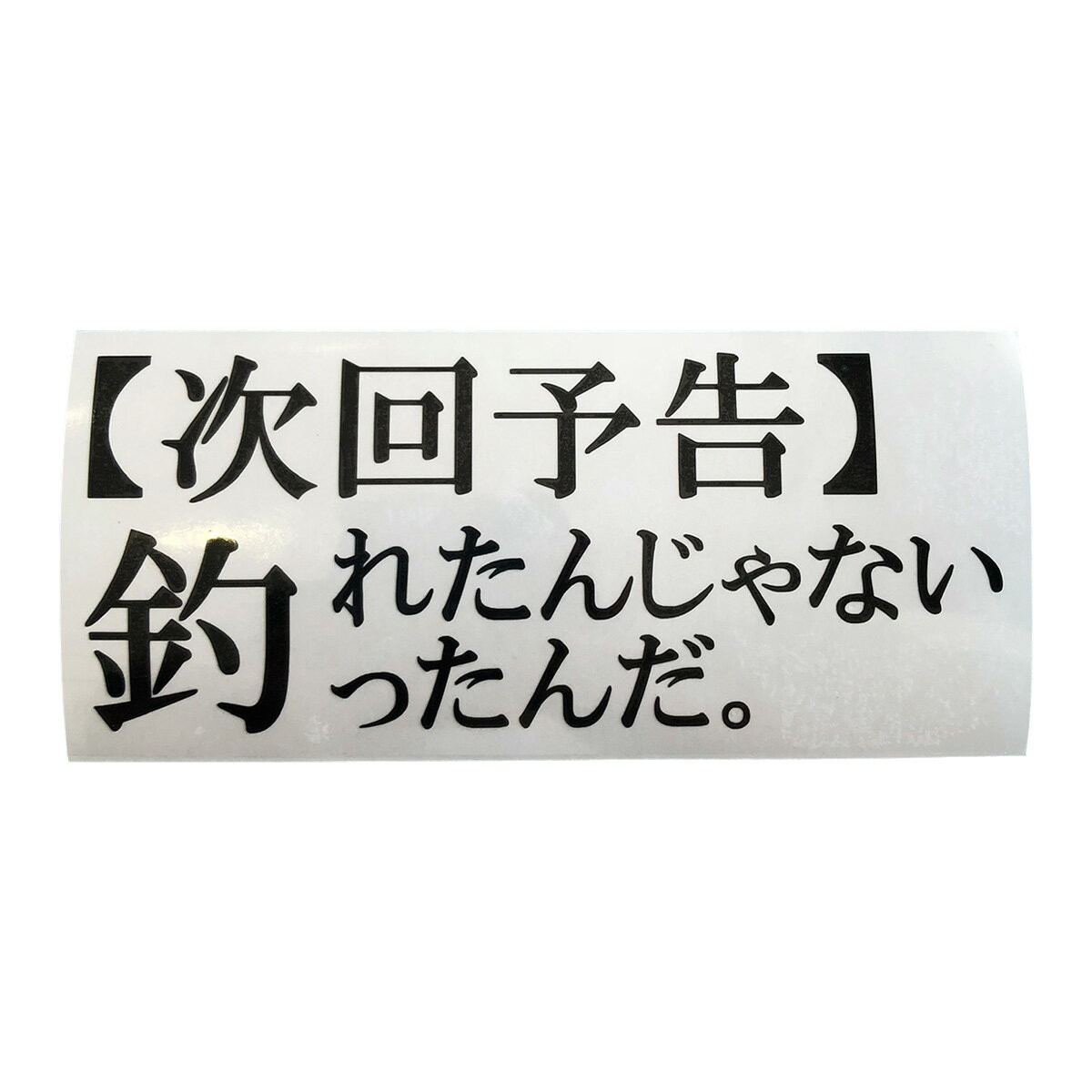 送料無料 【次回予告】釣れたんじゃない 釣ったんだ。カッティングステッカー ステッカー シール 魚 釣り バス釣り 渓流釣り 海釣り フィッシング リール ロッド ルアー アウトドア グッズ タックルボックス クーラーボックス かっこいい おしゃれ