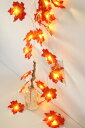 ★タイムセール【送料無料】クリスマスライト LED 紅葉ライト 電池式 秋 赤 季節 ウォームホワイト 電球色 2M 20個 点滅 点灯 イルミネーションライト