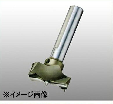 Rakuten - 【TZ51 (119415)】 《TKF》 オーエムアイ 超硬ザグリカッター ωο0