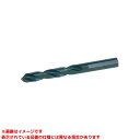  《TKF》 アックスブレーン ドリルボーイ工事用ドリル3.8mm 10本 ωο0