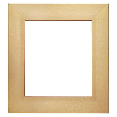【4860 ゴールド 8X9 《54694》】 《TKF》 大額 色紙フレーム ωυ2