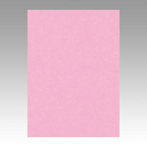 【GO4NCR-234 《71954》】 《TKF》 リンテック ニューカラー4切100枚 ときいろ ωυ2