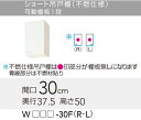 【WGTS/G4V-30FR】 《TKF》 クリナップ クリンプレティ 吊戸棚(不燃仕様) Rタイプ 間口30cm 高さ50cm 奥行37.5cm ωγ0