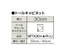 【NFTA30※★(R/L)】 《TKF》 クリナップ 洗面化粧台 ファンシオ トールウォールキャビネット 間口300mm ωγ1(4)
