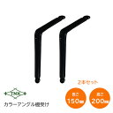 ★1日限定1000円オフクーポン★田中工業/TNK TB-150 カラーアングル 棚受け 横150mm×縦200mm×幅38mm ブラック 1組(2本入) アン...