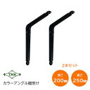 ★1日限定1000円オフクーポン★田中工業/TNK TB-200 カラーアングル 棚受け 横200mm×縦250mm×幅42mm ブラック 1組(2本入) アン...