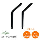 ★エントリーでポイント7倍実施中★田中工業/TNK TB-250 カラーアングル 棚受け 横250mm×縦300mm×幅47mm ブラック 1組(2本入) アン...