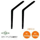 ★1日限定1000円オフクーポン★田中工業/TNK TB-350 カラーアングル 棚受け 横350mm×縦400mm×幅55mm ブラック 1組(2本入) アン...