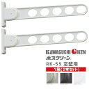 【土日祝発送可】【全国送料無料】川口技研 RK-55 1箱(2本入) ST DB PW 窓壁用ホスクリーン RK55型 物干し 洗濯 屋外 ベランダ 壁付け ステンカラー ダークブロンズ ピュアホワイト 2本セット【楽天ロジ発送】あす楽