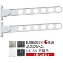 ★ポイント5倍★【送料無料】川口技研 RK-65 / ★1箱2本入(ST・DB・PW・BL) 窓壁用物干 ホスクリーン 4段階角度調整 ロングアームタイプ アー...