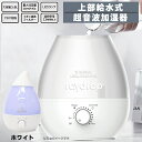 ヒロ 上部給水 レイドロップ 3.8L ホワイト 加湿器 超音波加湿器 12h連続使用 アロマ対応 乾燥対策 加湿 うるおい 大容量