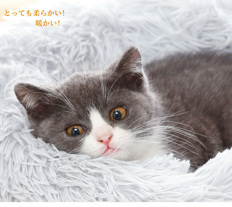 商品名 ペット用品カラー ピンク グレー イエロー グリーン仕樣 直径：50cm 高さ：15cm 重さ：600g生産国 中国注意 ※梱包方法は、多少圧縮された状態となる事から開封着後形を整えてから使ってください。 ※製品のサイズはメーカー手作業で量るため、多少の差があります。 ＊色がある場合、モニターの発色の具合によって実際のものと色が異なる場合があります。メーカー希望小売価格はメーカーカタログに基づいて掲載しています